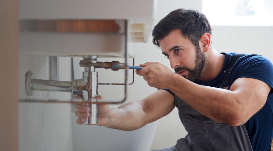 Trap Repair/Replacement in Jackson, MN